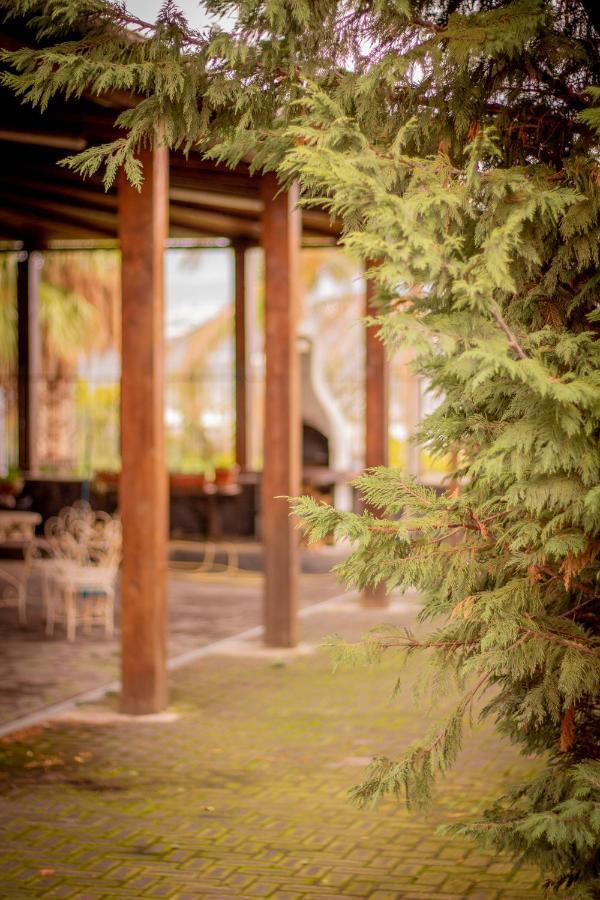 Bed & Breakfast Kalinka Bed & Breakfast Motta Sant'Anastasia Exterior photo